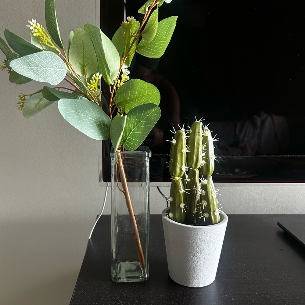 Green Faux Eucalyptus and Catcus Plant